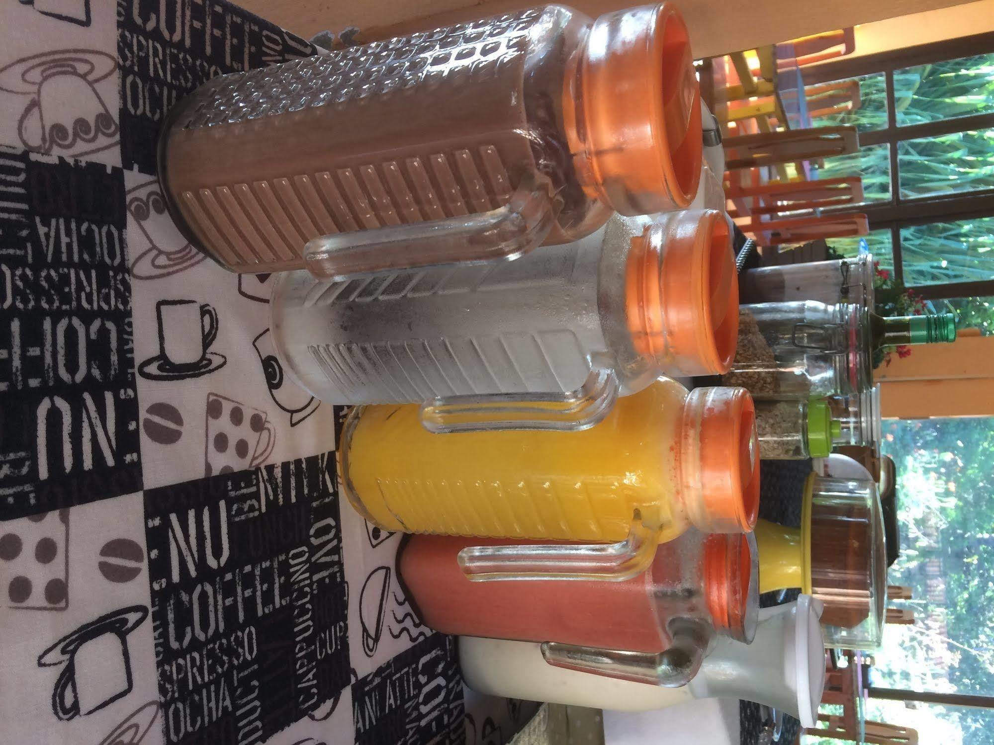 Praia de Pipa 普拉亚阿莫尔旅馆酒店 外观 照片